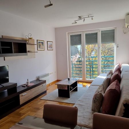 Studio Apartman Zvezdana Noc Vrnjačka Banja Εξωτερικό φωτογραφία