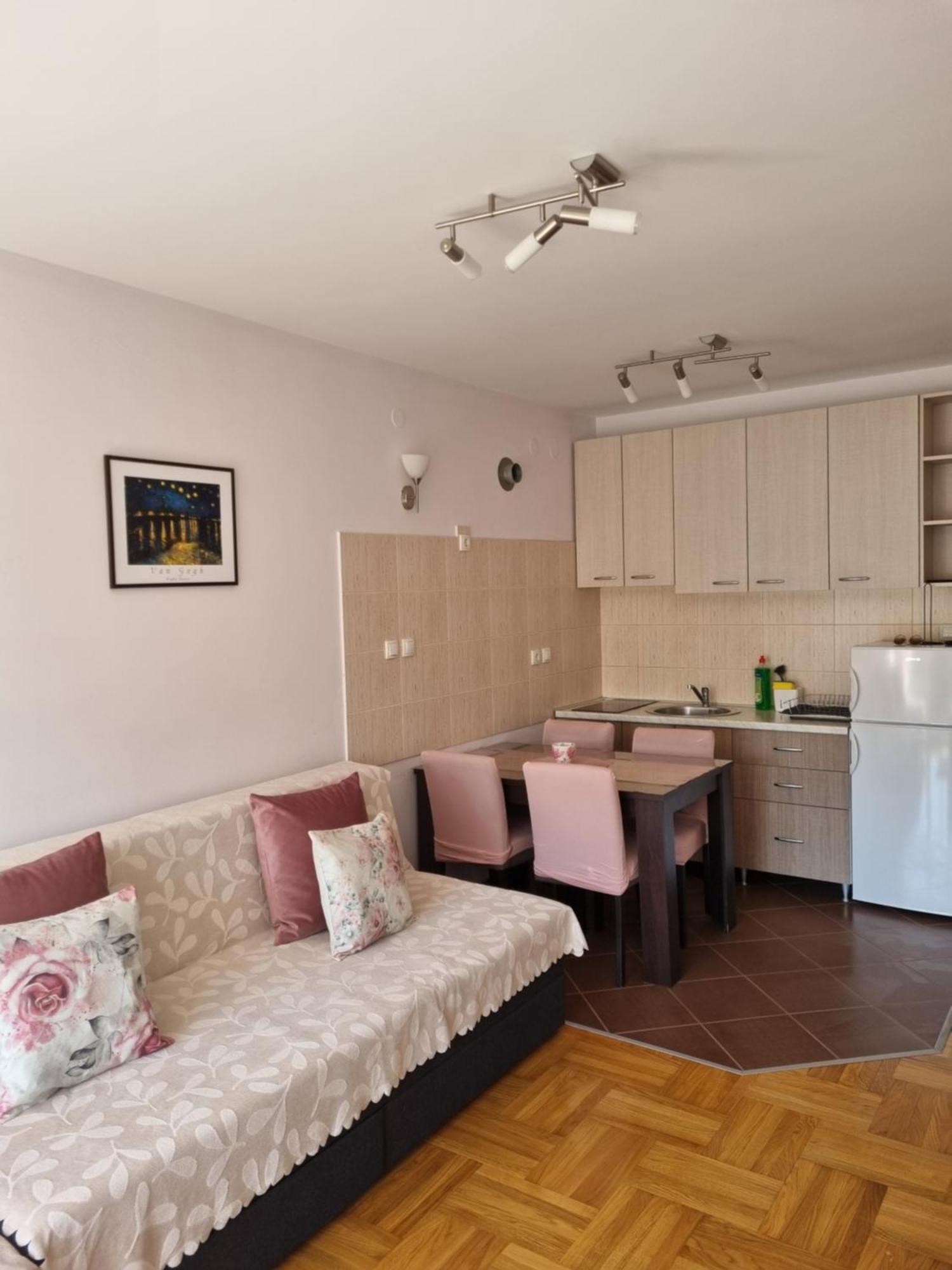 Studio Apartman Zvezdana Noc Vrnjačka Banja Εξωτερικό φωτογραφία